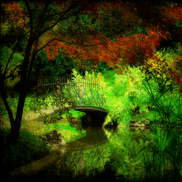 Lady Grammar Checker is here for English grammar questions and answers for CCFL Global Academy